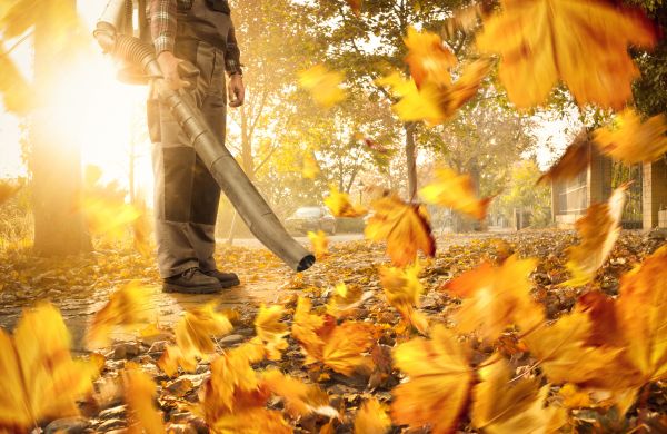 Leaf Blowing Service in Richland