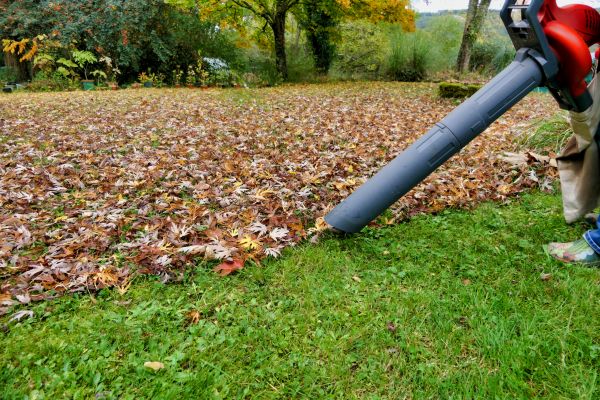 Leaf Vacuuming Service in Richland