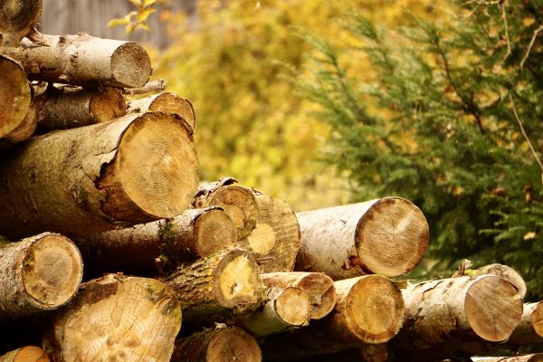 Wood Pile Removal in Richland