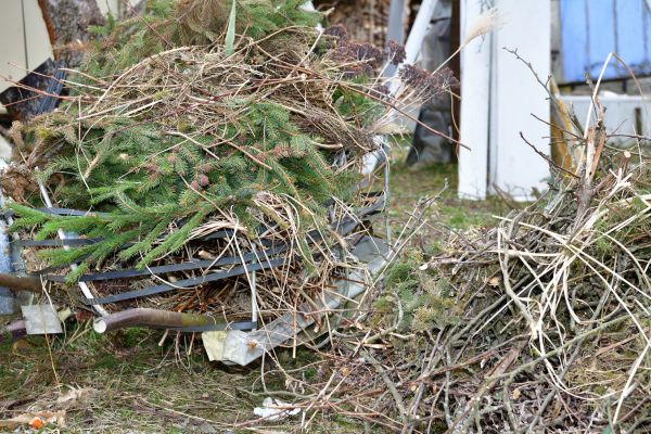 Yard Debris Removal in Richland