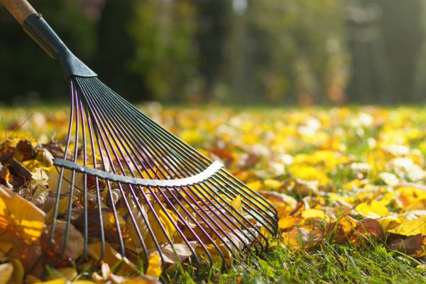 Leaf Raking Service in Richland