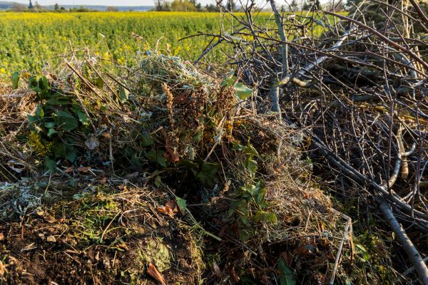 Brush Disposal in Richland