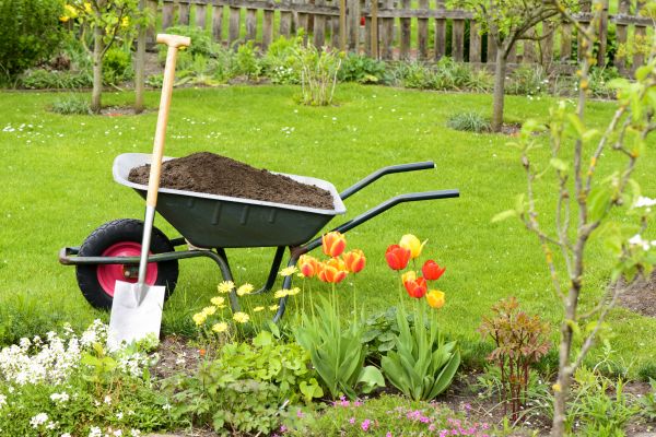 Cost of Spring Yard Cleanup in Richland