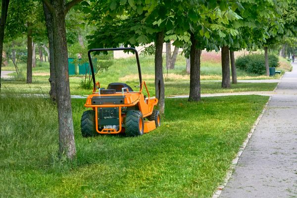 Landscaping Cleanup Service in Richland