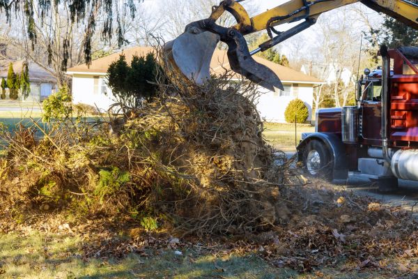 Storm Debris Removal in Richland