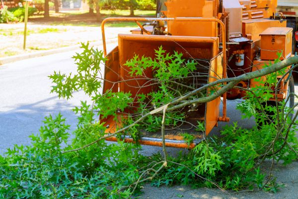 Tree Branches Removal in Richland