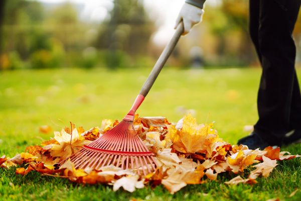 Cost of Ditch Leaf Removal in Richland