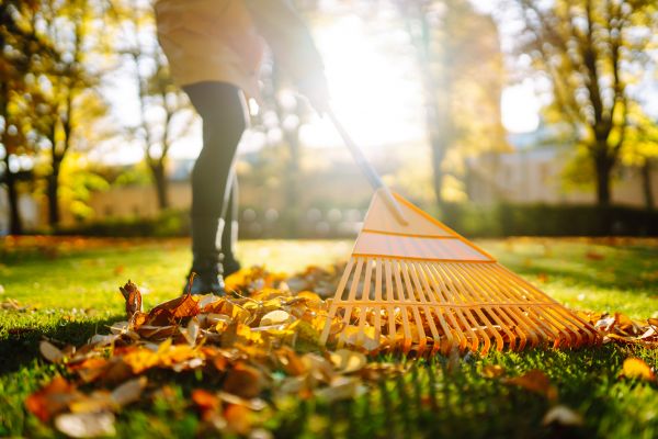 Leaves Raking in Richland