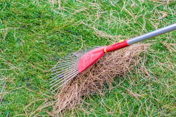Yard Raking in Richland