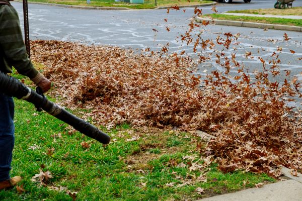 Cost of Garden Leaf Removal in Richland