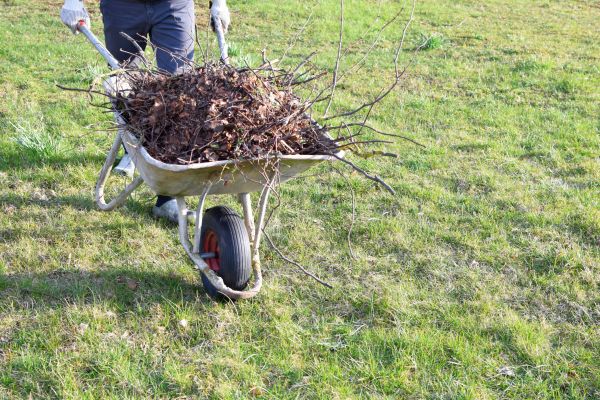 Yard Brush Removal in Richland