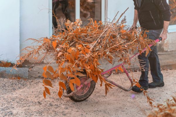 Cost of Lawn Debris Cleanup in Richland