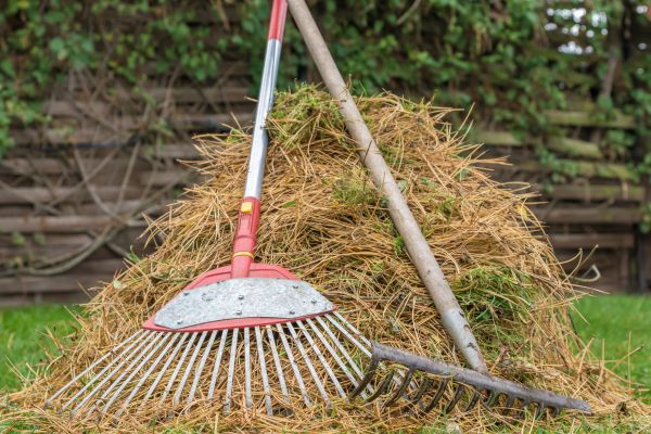 Cost of Pine Straw Clearing in Richland