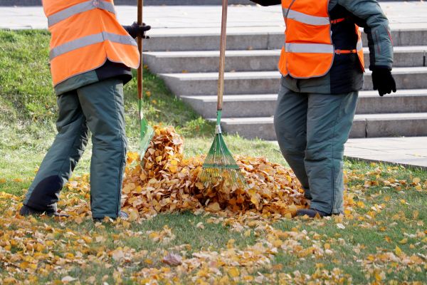 Cost of Leaf Hauling Service in Richland