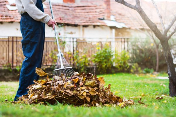 Spring Lawn Cleanup in Richland