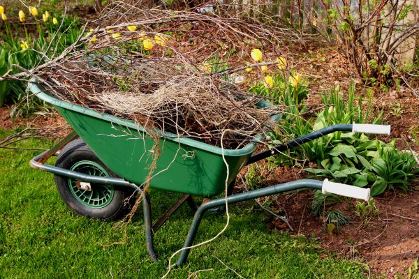 Lawn Waste Removal in Richland