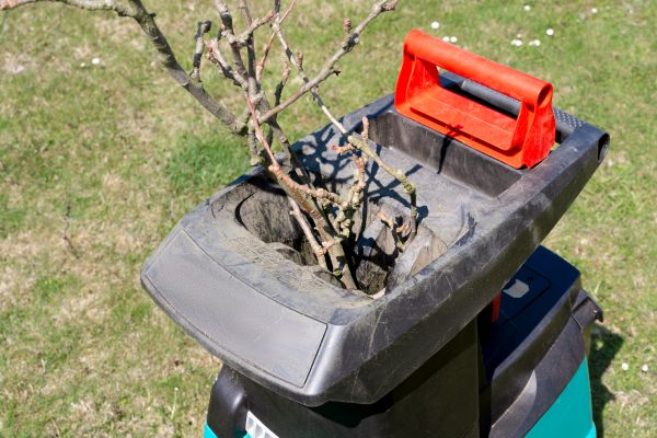 Cost of Brush Cleanup Service in Richland