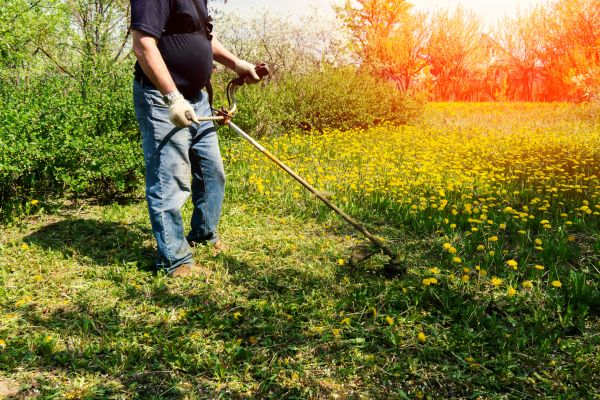 Yard Clearing Service in Richland