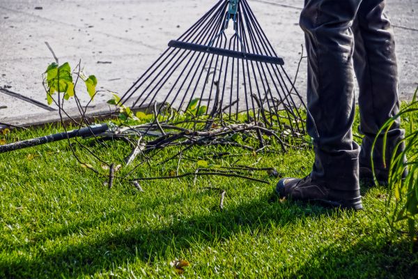 Yard Debris Cleanup in Richland