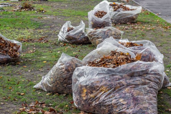 Cost of Leaf Pile Disposal in Richland