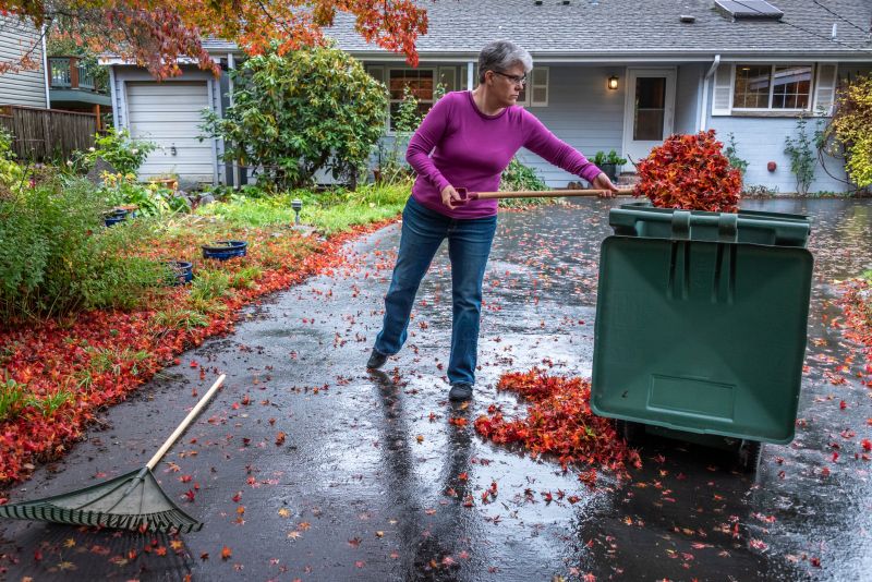 Autumn Leaf Cleanup Crew