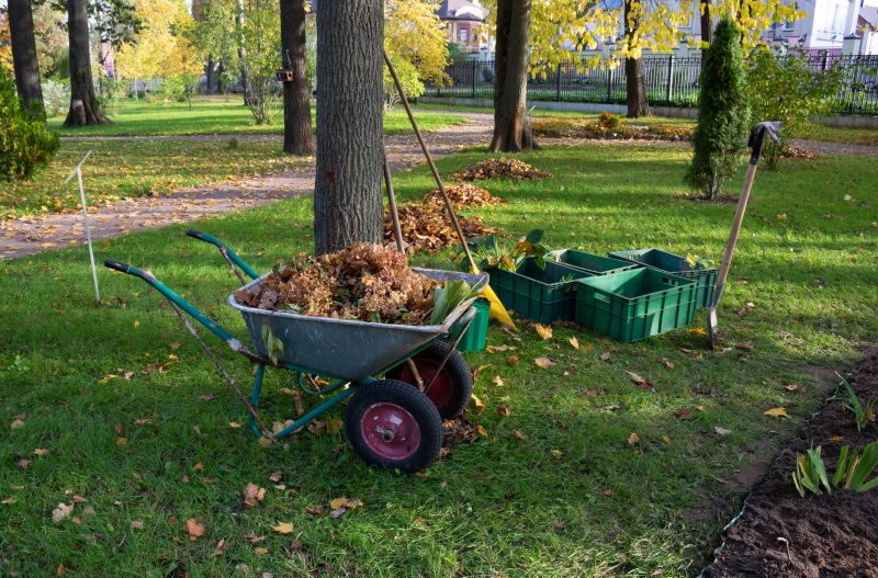 Lawn Debris Clearing